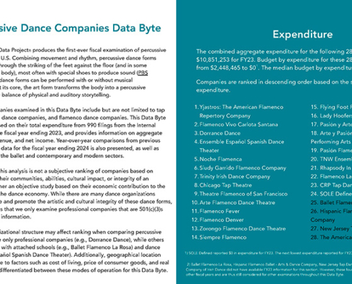 2025 Percussive Dance Companies Data Byte
